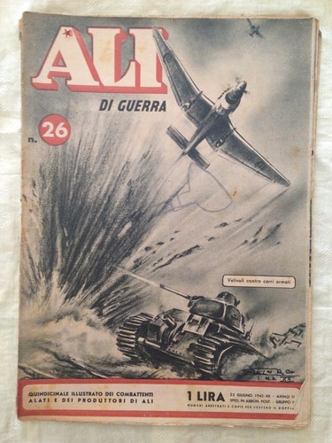 Ali guerra 25 - di,